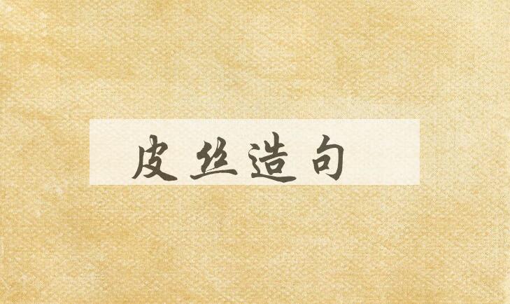 用皮丝造句