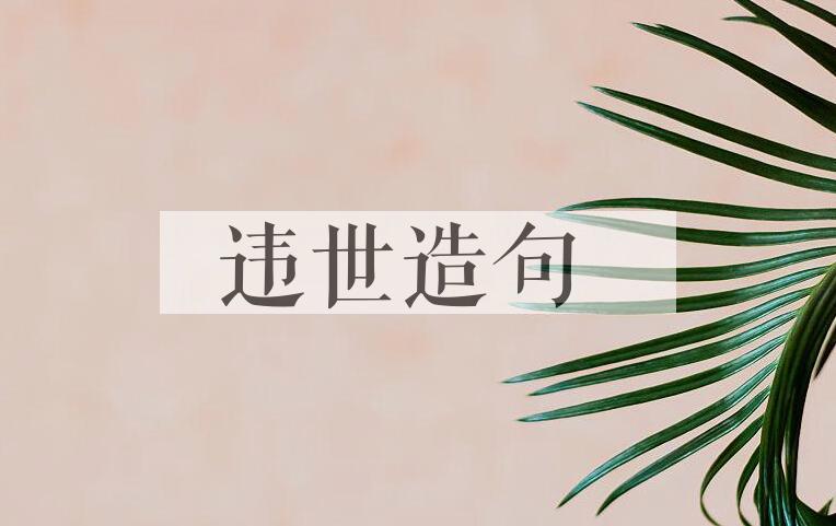 用违世造句