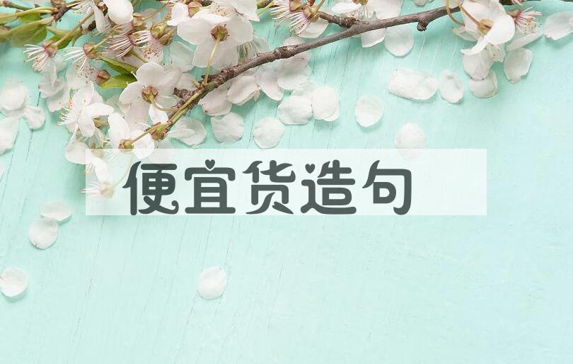 用便宜货造句