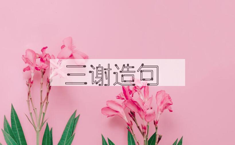 用三谢造句
