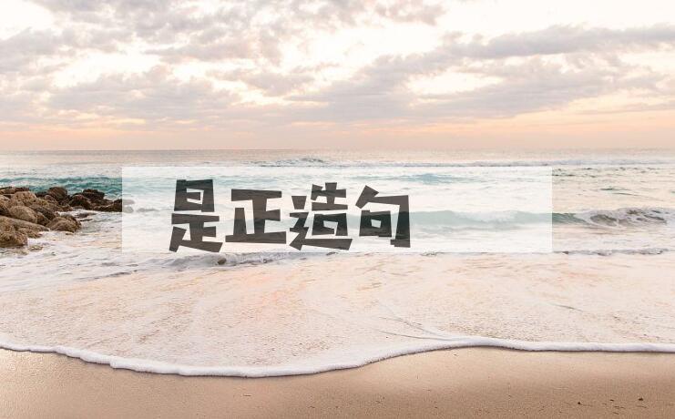 用是正造句