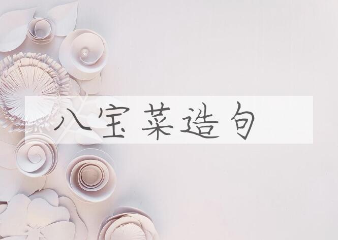 用八宝菜造句
