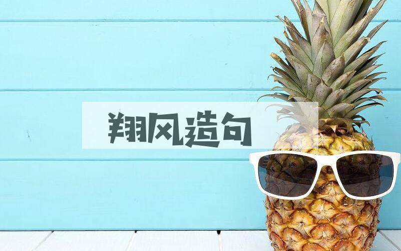 用翔风造句