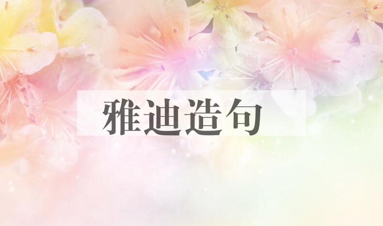 用雅迪造句
