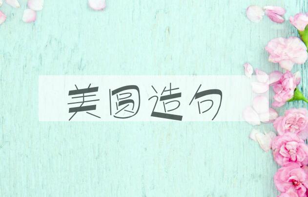 用美圆造句