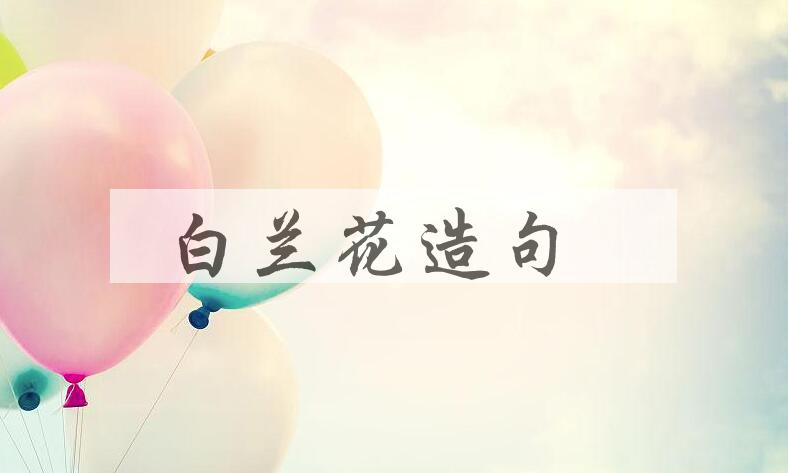 用白兰花造句