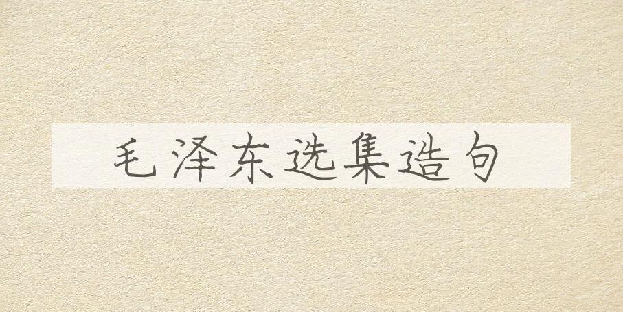 用毛泽东选集造句