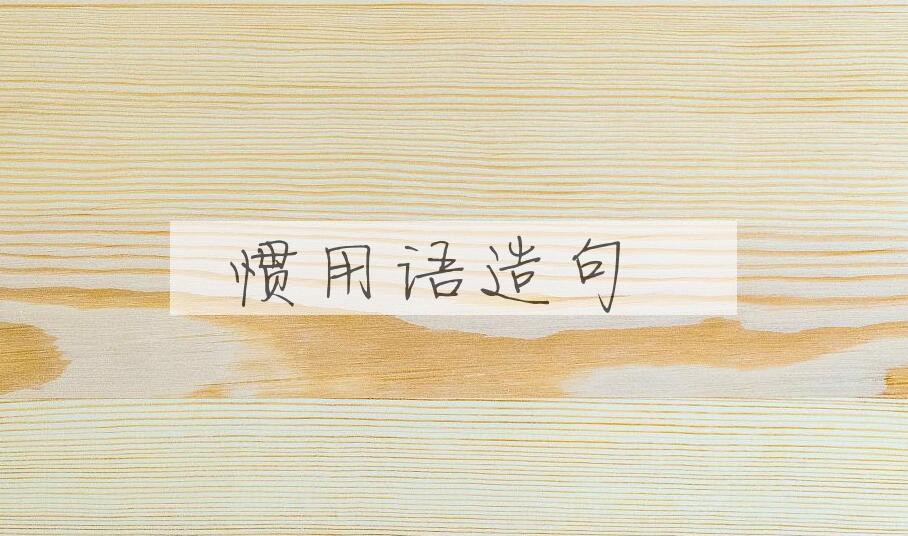 用惯用语造句