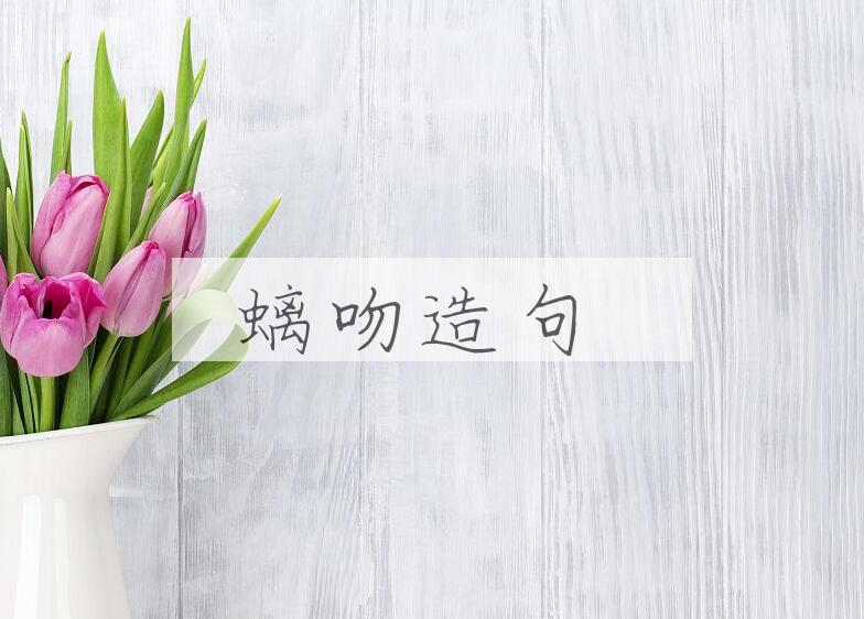 用螭吻造句