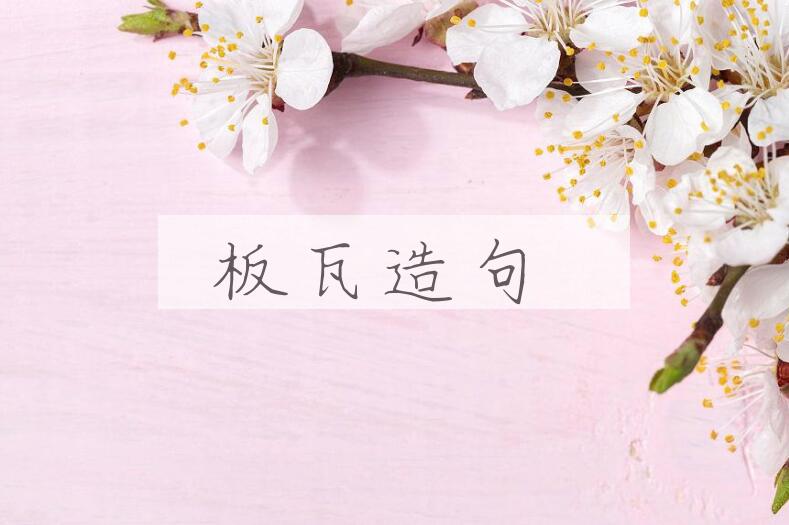 用板瓦造句