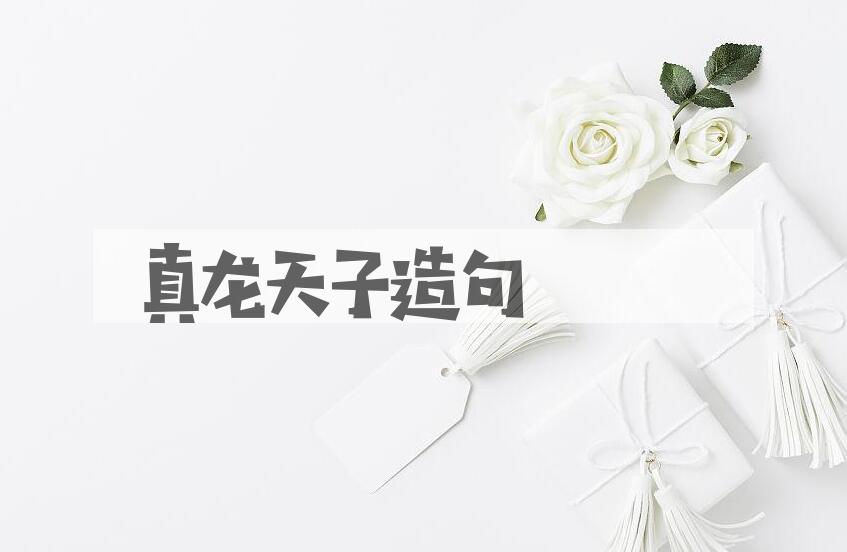 用真龙天子造句
