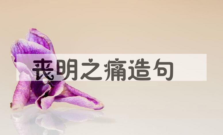 用丧明之痛造句