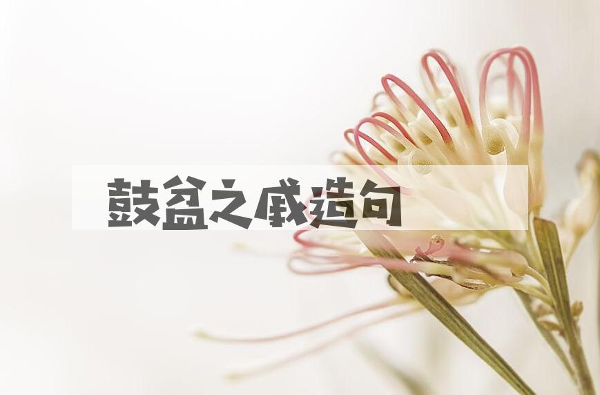 用鼓盆之戚造句
