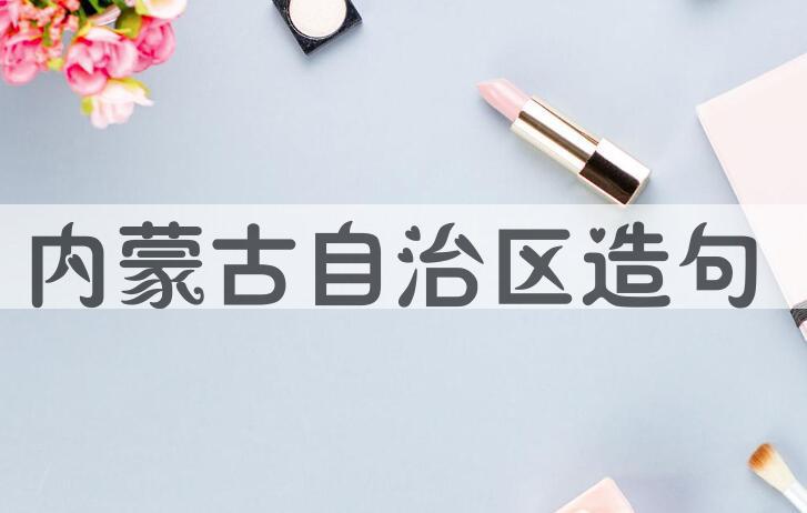 用内蒙古自治区造句