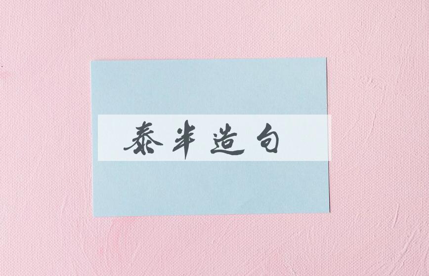 用泰半造句