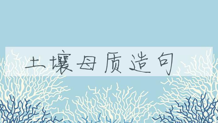 用土壤母质造句