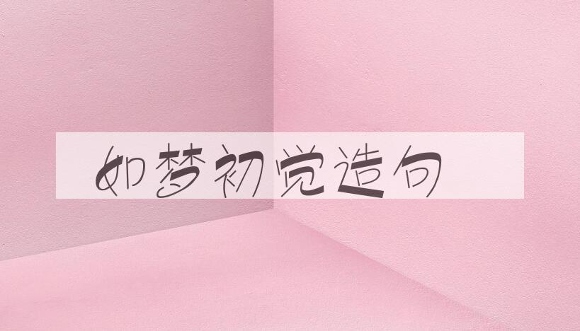用如梦初觉造句