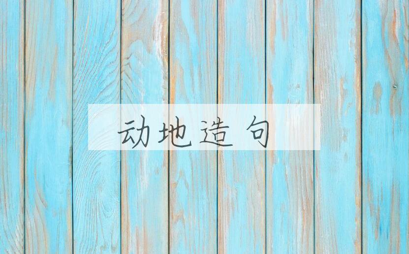 用动地造句