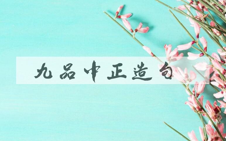 用九品中正造句