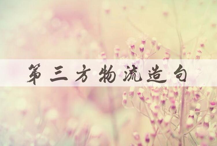 用第三方物流造句