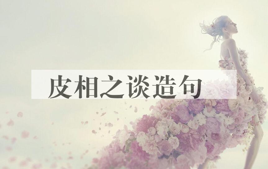 用皮相之谈造句