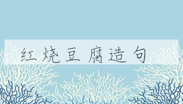 用红烧豆腐造句