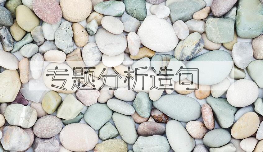 用专题分析造句