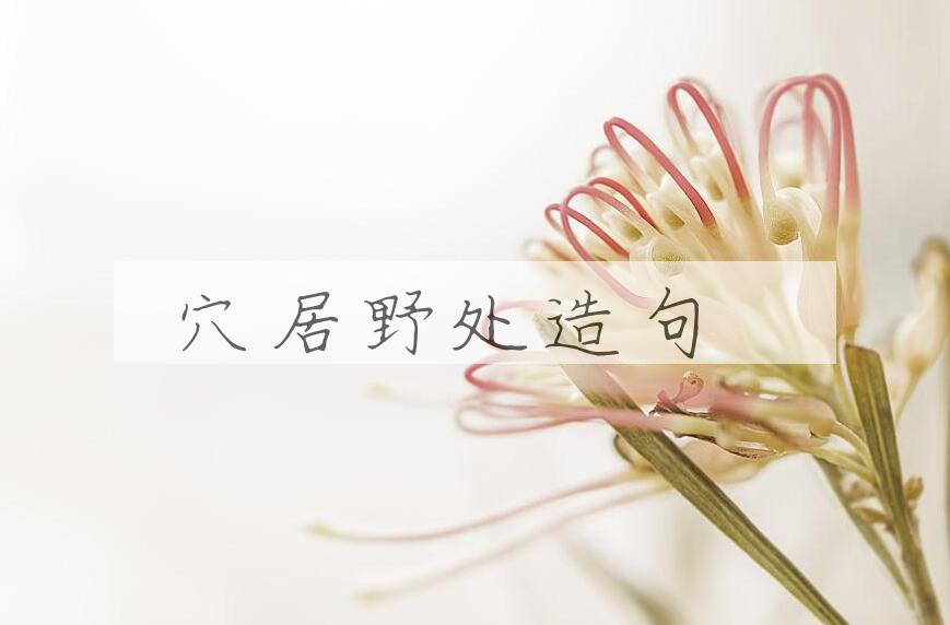 用穴居野处造句