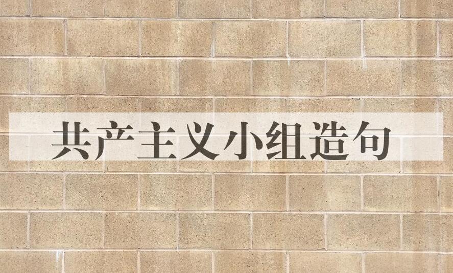 用共产主义小组造句