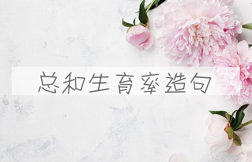 用总和生育率造句