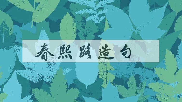 用春熙路造句