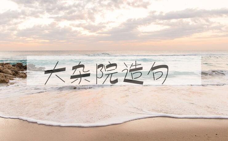用大杂院造句