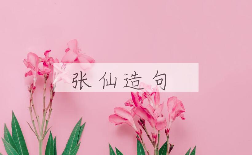 用张仙造句