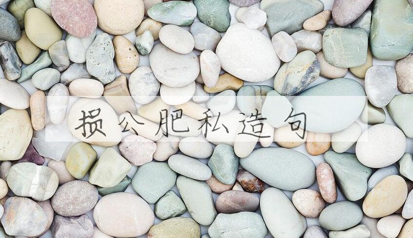 用损公肥私造句