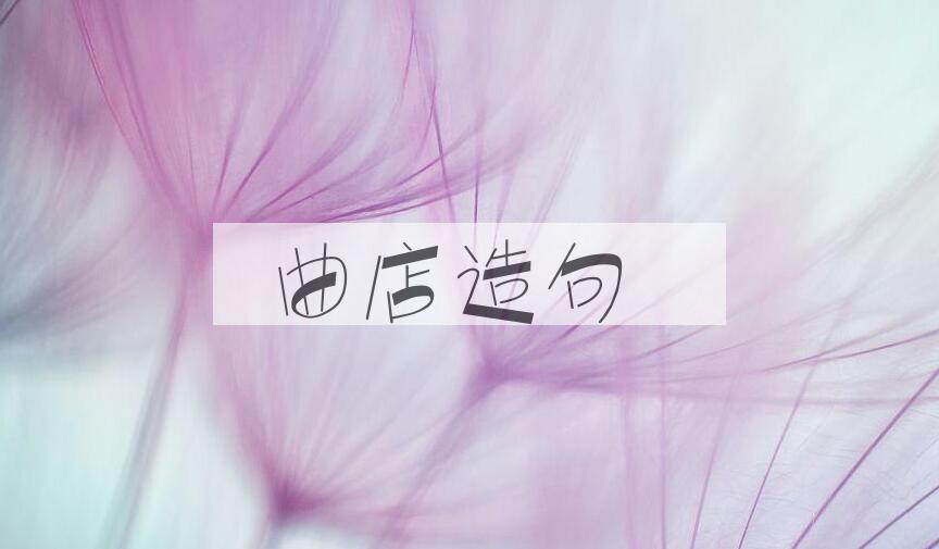 用曲店造句