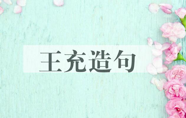 用王充造句
