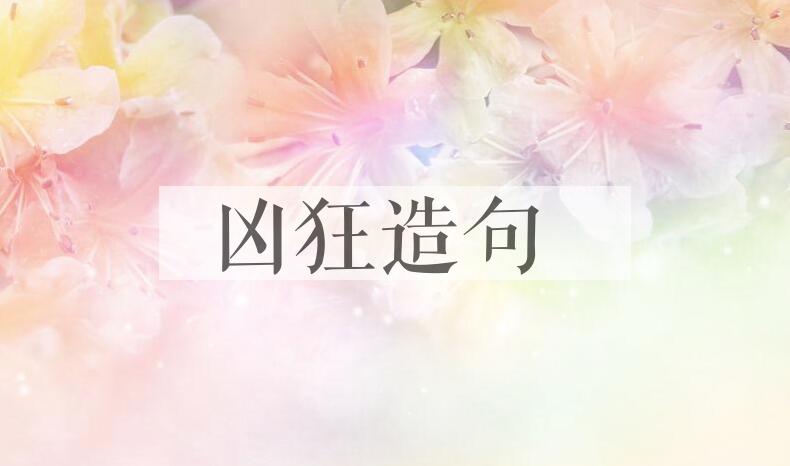用凶狂造句
