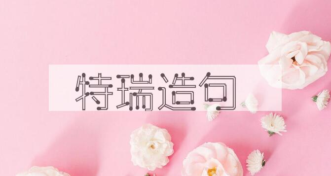 用特瑞造句