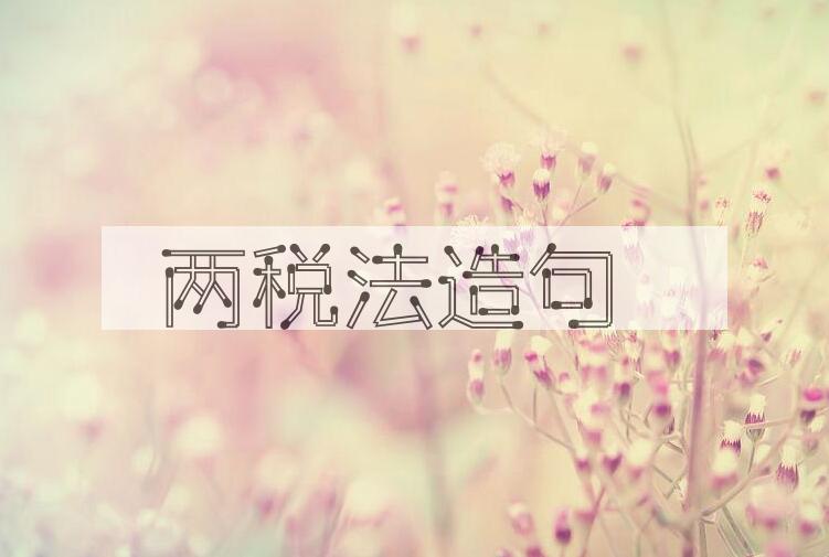 用两税法造句