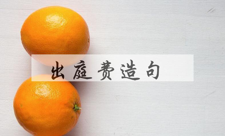 用出庭费造句