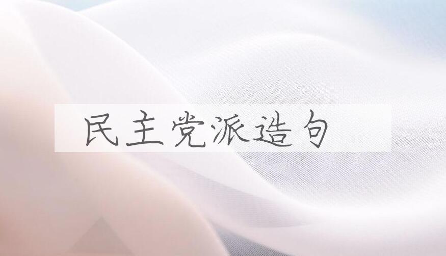 用民主党派造句