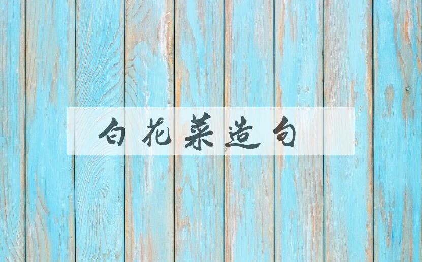 用白花菜造句