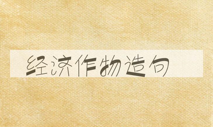 用经济作物造句