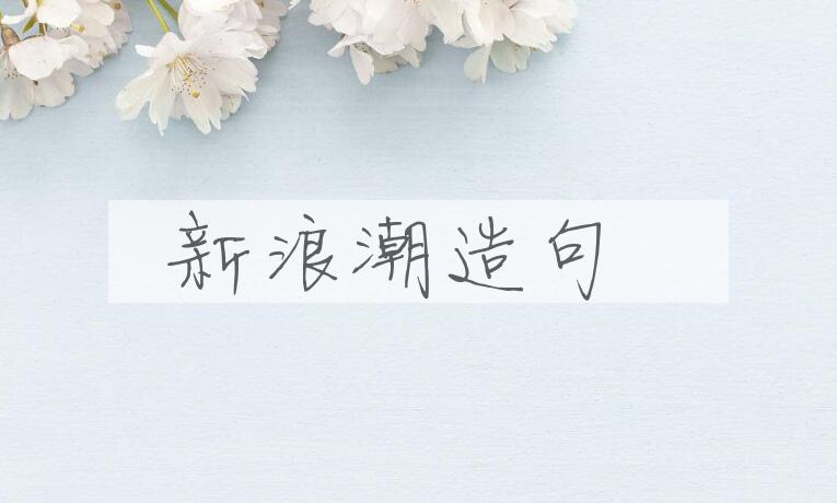 用新浪潮造句