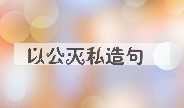 用以公灭私造句
