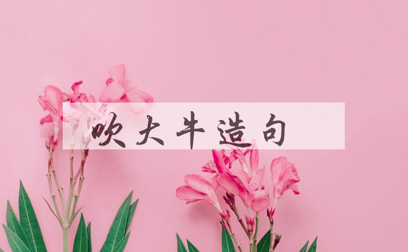 用吹大牛造句