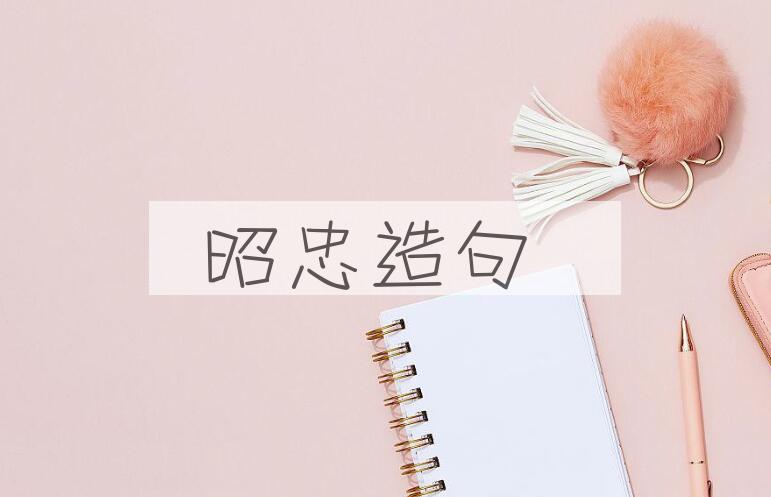用昭忠造句