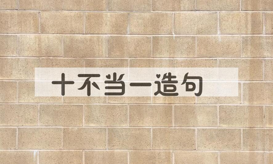 用十不当一造句