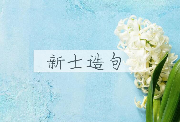 用新士造句