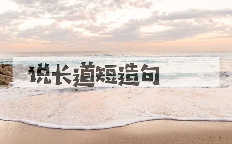 用说长道短造句